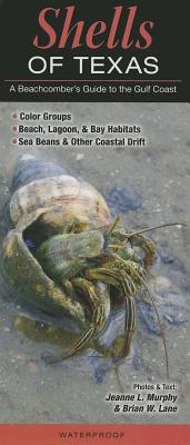 Shells of Texas: A Beachcomber's Guide to the Gulf Coast By Jeanne L. Murphy, Brian W. Lane Cover Image