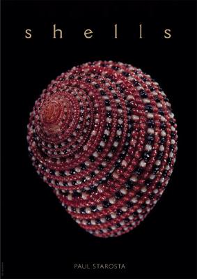 Shells By Paul Starosta, Jacques Senders, Paolo Portoghesi (Preface by) Cover Image