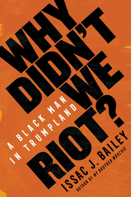 Cover for Why Didn't We Riot?