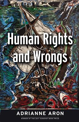 Human Rights and Wrongs: Reluctant Heroes Fight Tyranny By Adrianne Aron, Sunshot Press (Other) Cover Image