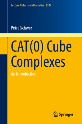 Cat(0) Cube Complexes: An Introduction (Lecture Notes in Mathematics #2324)