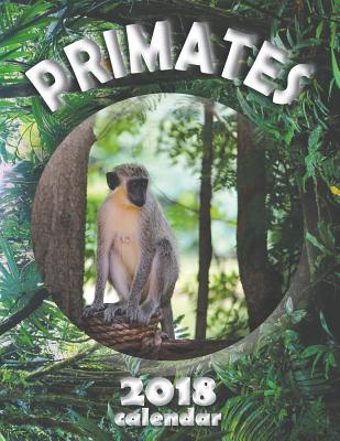 Primates 2018 Calendar By Wall Publishing Cover Image