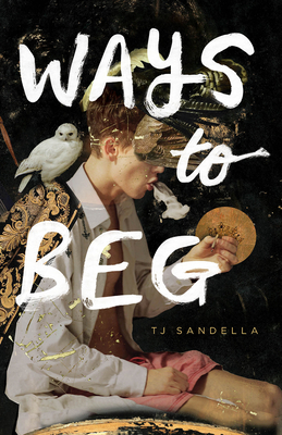 Ways to Beg By T. J. Sandella Cover Image