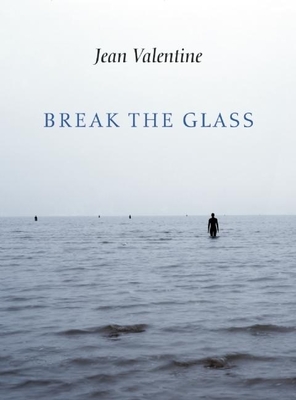 Cover for Break the Glass (Lannan Literary Selections)