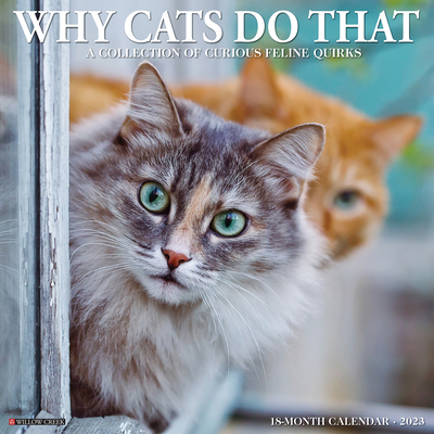 Why Cats Do That 2023 Wall Calendar