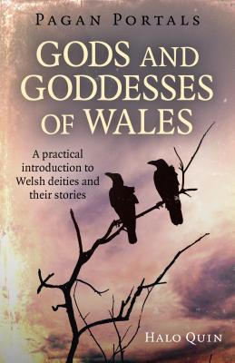 Cover for Pagan Portals - Gods and Goddesses of Wales