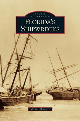 Florida's Shipwrecks Cover Image
