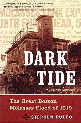 Dark Tide: The Great Boston Molasses Flood of 1919 Cover Image