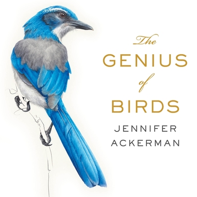 The Genius of Birds By Jennifer Ackerman, Margaret Strom (Read by) Cover Image