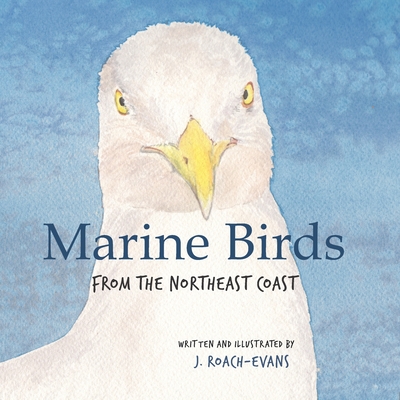 Marine Birds: from the Northeast Coast By Erin Oliveira (Editor), Joanne Roach-Evans Cover Image