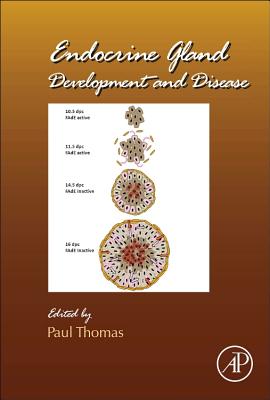 Endocrine Gland Development and Disease: Volume 106 (Current Topics in Developmental Biology #106) Cover Image