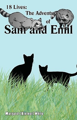 18 Lives: The Adventures of Sam and Emil