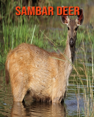 Sambar Deer: Amazing Facts about Sambar Deer Cover Image