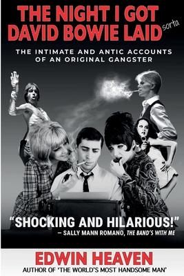 The Night I Got David Bowie Laid (Sorta) By Edwin Heaven Cover Image