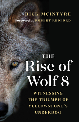 Cover for The Rise of Wolf 8