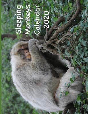 Sleeping Monkeys Calendar 2020 By Hope Huggs, Moon Phase Calendars Cover Image
