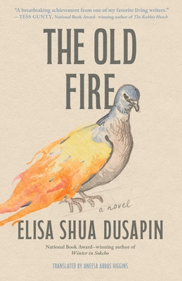 The Old Fire: A Novel