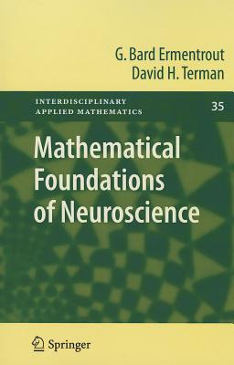 Mathematical Foundations of Neuroscience (Interdisciplinary Applied Mathematics #35) Cover Image