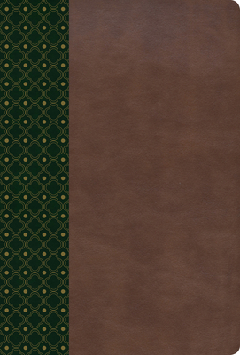 RVR 1960 Biblia de Estudio Scofield, verde oscuro/castaño símil piel con índice By B&H Español Editorial Staff (Editor) Cover Image