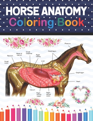 Download Horse Anatomy Coloring Book Horse Anatomy And Veterinary Physiology Coloring Book The New Surprising Magnificent Learning Structure For Veterinar Paperback Eso Won Books