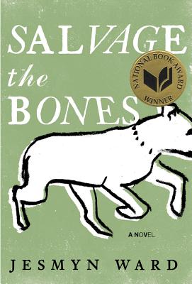 Cover Image for Salvage the Bones: A Novel