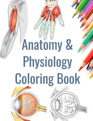 Download Anatomy And Physiology Coloring Book Human Anatomy Coloring Book Paperback Politics And Prose Bookstore