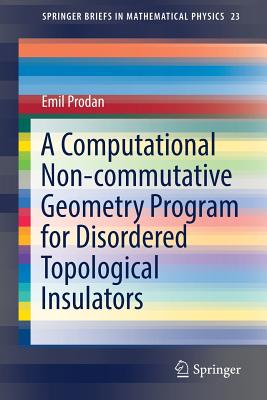A Computational Non-Commutative Geometry Program for Disordered Topological Insulators (Springerbriefs in Mathematical Physics #23)