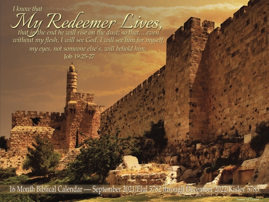 My Redeemer Lives Jewish Calendar: 16 Month Biblical Calendar - September 2021/Elul 5782 Through December 2022/Kislev 5783 Cover Image