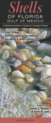 Florida's Seashells: A Beachcomber's Guide|Paperback