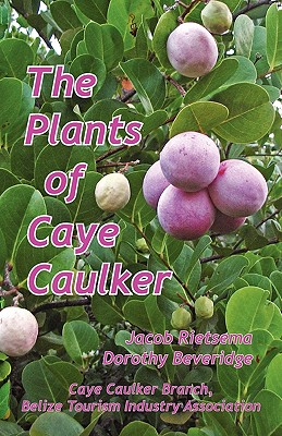 The Plants of Caye Caulker By Jacob Rietsema, Dorothy Beveridge Cover Image