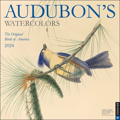 Audubon's Watercolors 2024 Wall Calendar
