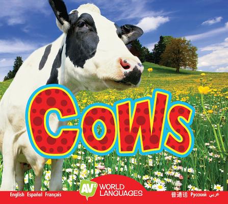 Cows (World Languages) By Aaron Carr Cover Image