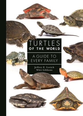 Turtles of the World: A Guide to Every Family By Jeffrey E. Lovich, Whit Gibbons Cover Image