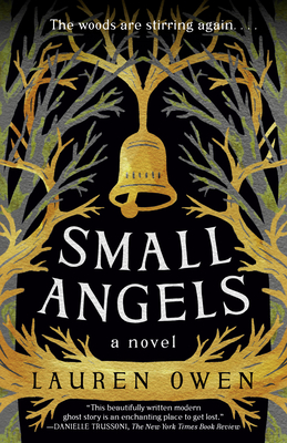 Small Angels: A Novel By Lauren Owen Cover Image