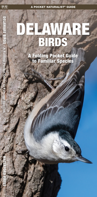 Delaware Birds: A Folding Pocket Guide to Familiar Species (Pocket Naturalist Guide) Cover Image