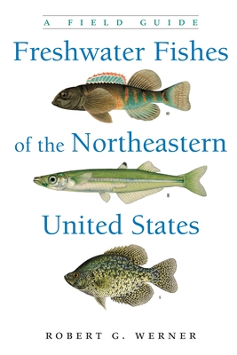 Freshwater Fishes of the Northeastern United States: A Field Guide (New York State)