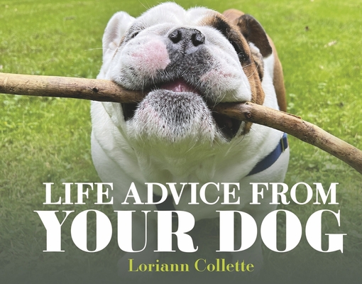 Life Advice From Your Dog By Loriann Collette Cover Image