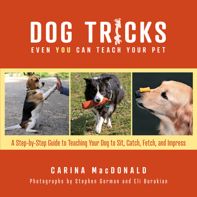 Dog Tricks Even You Can Teach Your Pet: A Step-By-Step Guide to Teaching Your Pet to Sit, Catch, Fetch, and Impress Cover Image