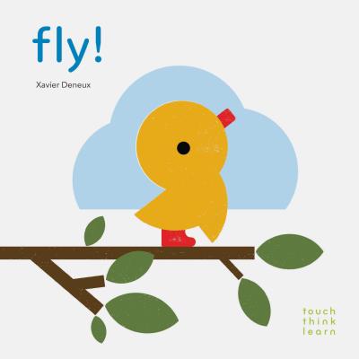 TouchThinkLearn: Fly! (Touch Think Learn)