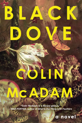 Black Dove By Colin McAdam Cover Image