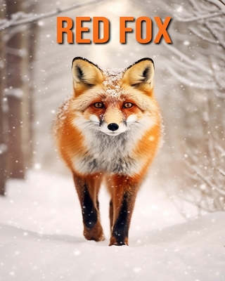 Red Fox: Fun Facts Book for Kids with Amazing Photos (Paperback)