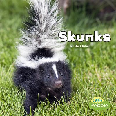 Skunks (Black and White Animals)