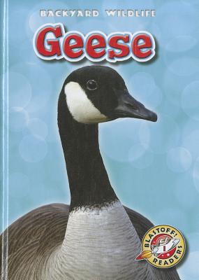 Geese (Backyard Wildlife) By Megan Borgert-Spaniol Cover Image