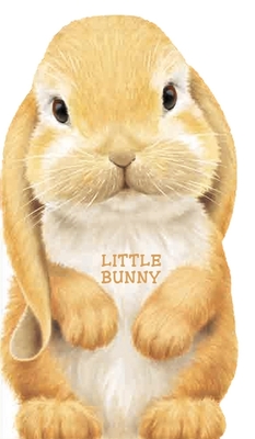 Little Bunny (Look at Me Books)