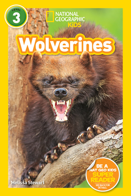 National Geographic Readers: Wolverines (L3) Cover Image