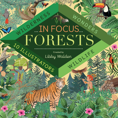 In Focus: Forests By Libby Walden, Grace Easton (Illustrator), Julie Colombet (Illustrator), Suzanne Washington (Illustrator), Sol Linero (Illustrator) Cover Image