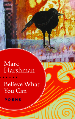 Cover for Believe What You Can: Poems