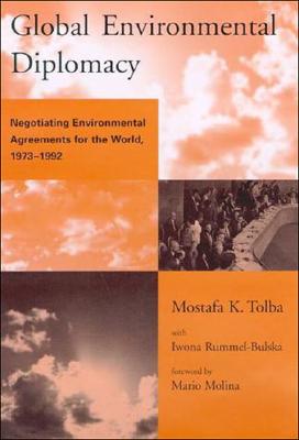 Global Environmental Diplomacy: Negotiating Environmental Agreements for the World, 1973-1992 (Global Environmental Accord: Strategies for Sustainability and Institutional Innovation)