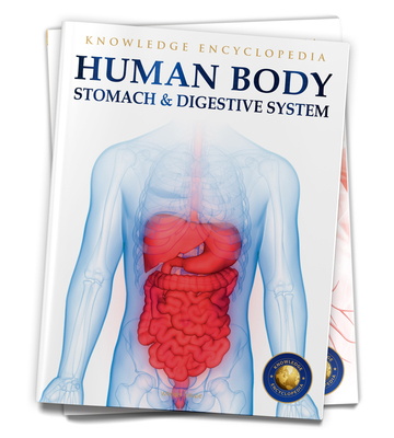 Human Body: Stomach And Digestive System (Knowledge Encyclopedia For Children) Cover Image