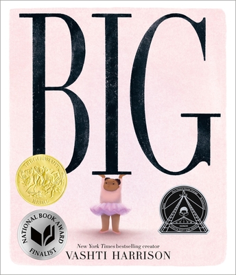 Cover Image for Big